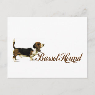 basset hound postcard
