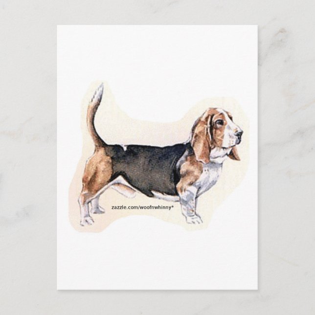 Basset Hound Postcard (Front)