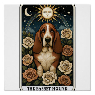 Basset Hound Poster