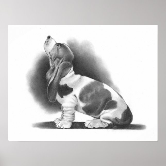 BASSET HOUND POSTER: PENCIL REALISM ART POSTER (Front)