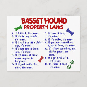 BASSET HOUND Property Laws 2 Postcard