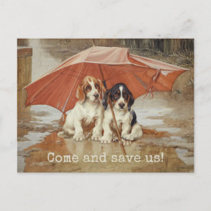 Basset hound puppies under umbrella CC0181 Trood Postcard