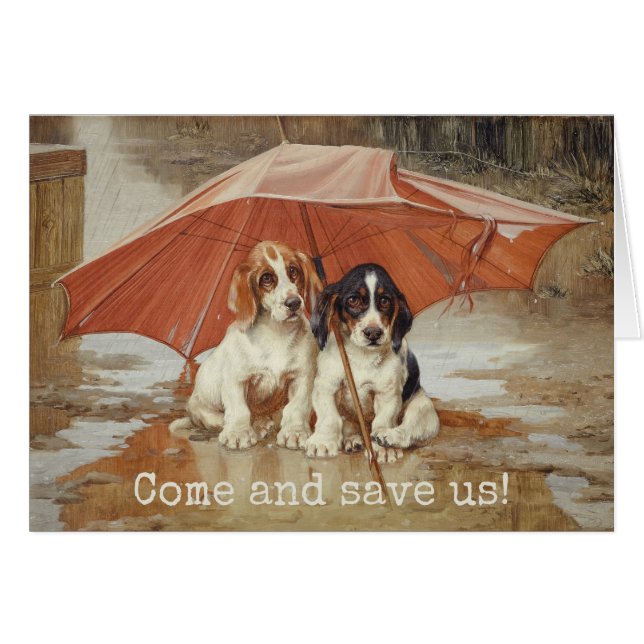 Basset hound puppies under umbrella CC0190 Trood (Front Horizontal)