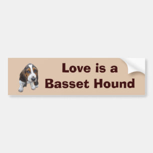 Basset Hound Puppy Bumper Sticker