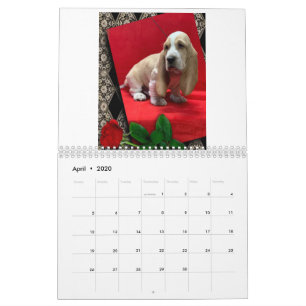 Basset hound puppy calendar