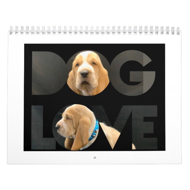 Basset hound puppy calendar (Cover)