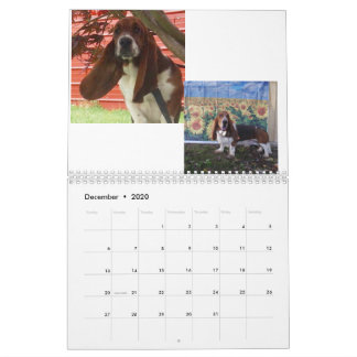 Basset hound puppy calendar