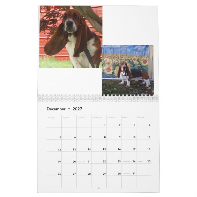 Basset hound puppy calendar (Dec 2027)
