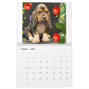 Basset hound puppy calendar