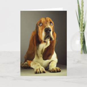 Basset Hound Puppy Dog Blank Note Card
