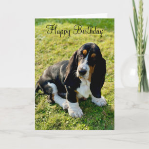 Basset Hound Puppy Dog Happy Birthday Card