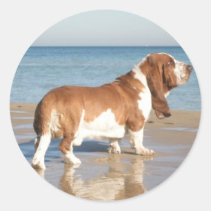 Basset Hound Puppy Dog Sticker / Label