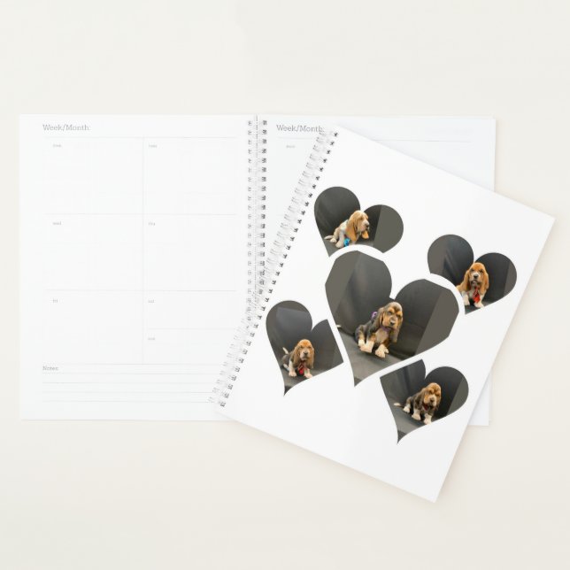 Basset hound puppy organiser (Display)