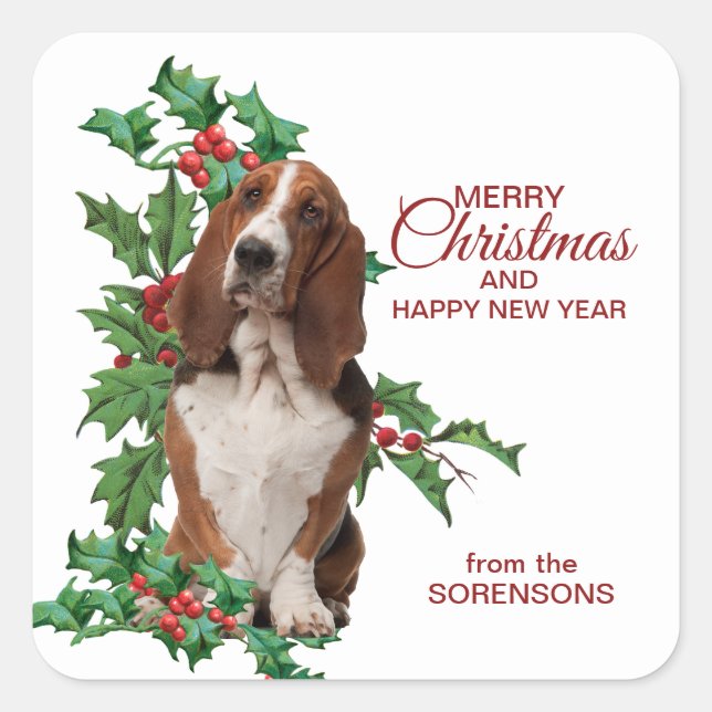 Basset Hound Red Berry Holly Christmas Square Sticker (Front)