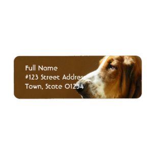 Basset Hound Return Address Label