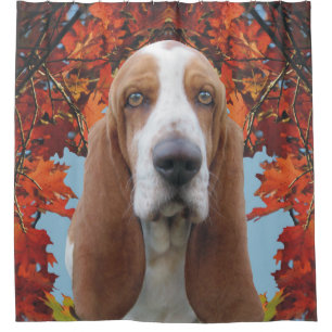 Basset Hound Shower Curtain