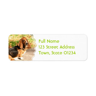 Basset Hound Sitting Mailing Labels