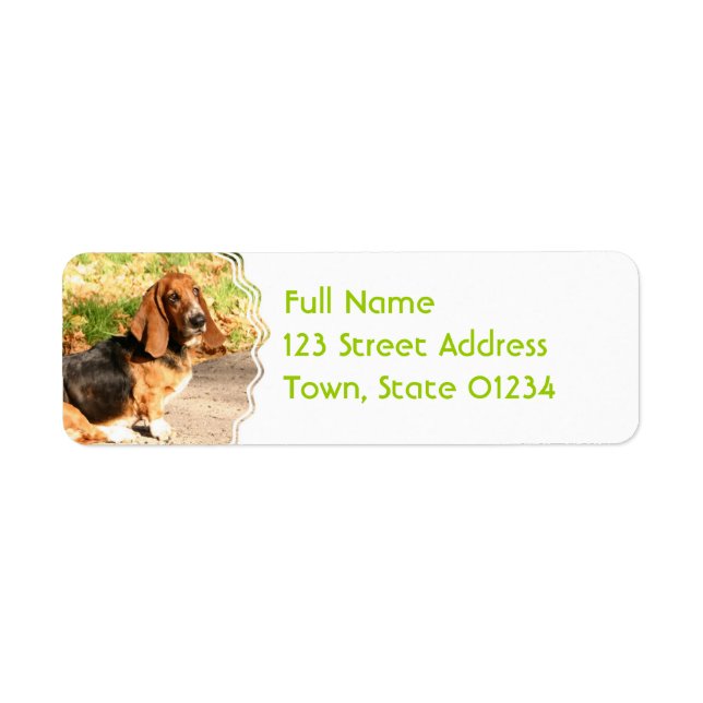 Basset Hound Sitting Mailing Labels (Front)