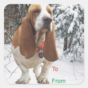 Basset Hound Snowy Christmas Gift Tag Stickers