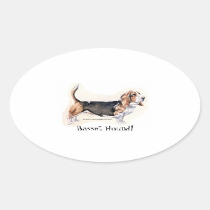 Basset Hound! Sticker