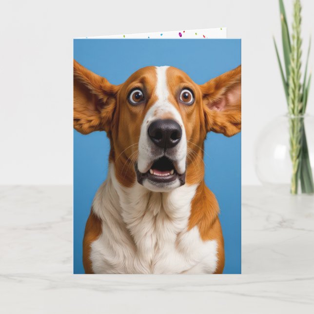 Basset Hound Surprised Birthday Card (Front)