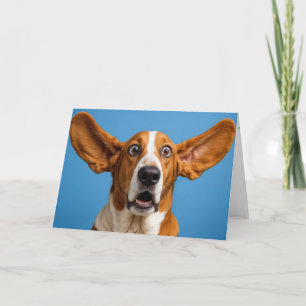 Basset Hound Surprised Birthday Card