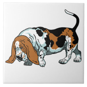 basset hound tile