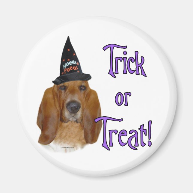 Basset Hound Trick Magnet (Front)