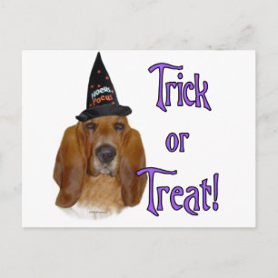 Basset Hound Trick Postcard