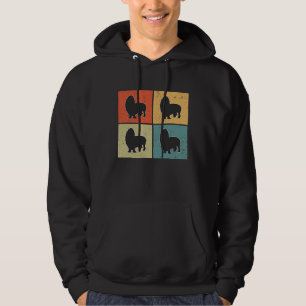 Basset Hound Vintage  3 Hoodie