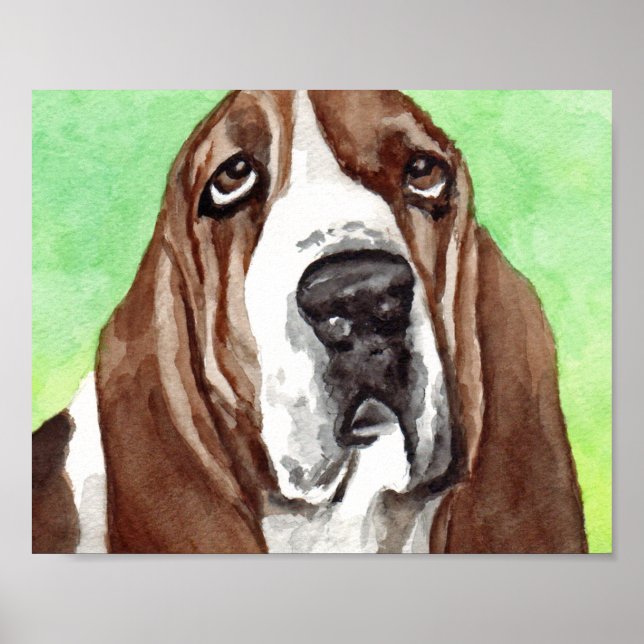 Basset Hound Watercolor  Art Prints (Front)