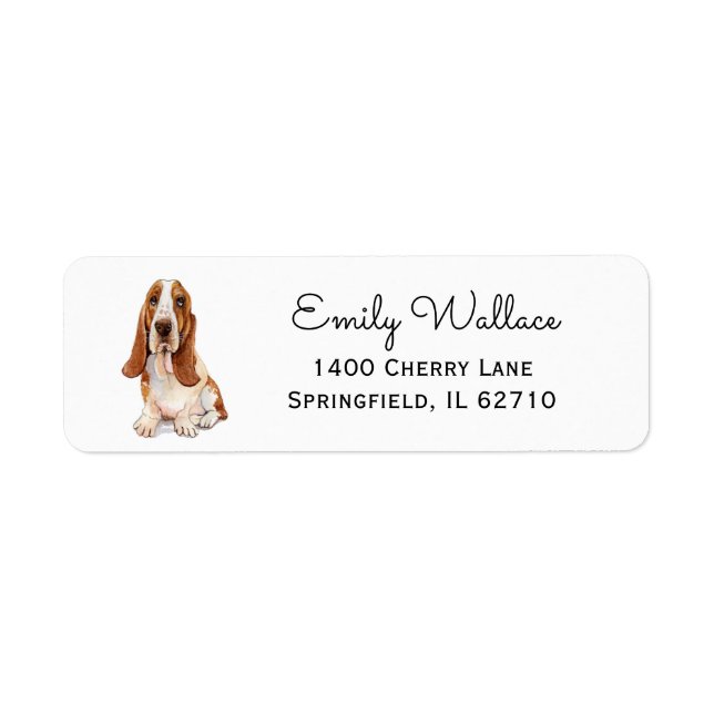 Basset Hound watercolor illustration (Front)
