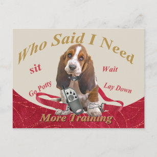 Basset Hound Who Said I Need More Training product Postcard