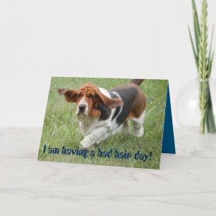 Basset Hound with "bad hair day" greeting card