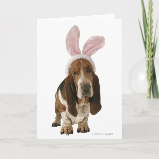 Basset hound with bunny ears card (Front)