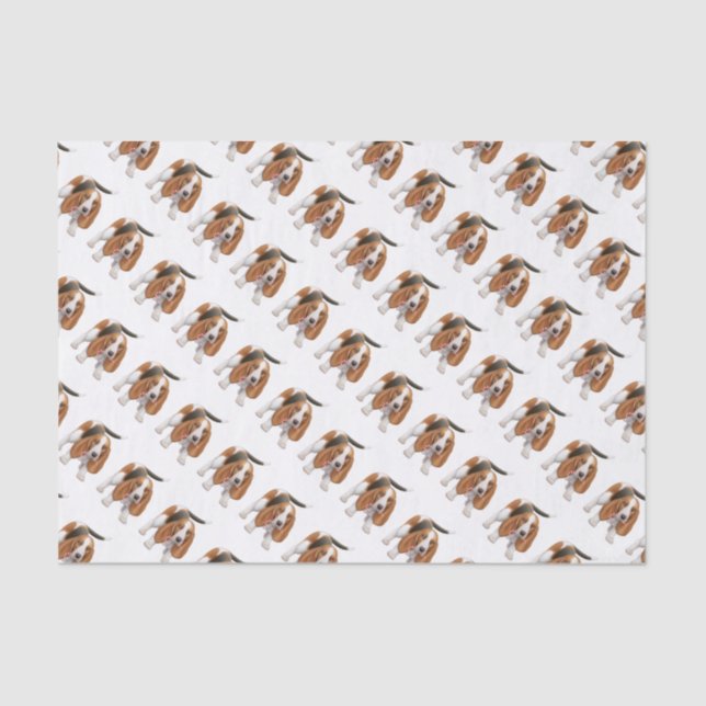 Basset Hound with Candy Cane Tissue Paper (Front)