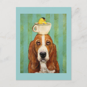 Basset hound with goldfinch in teacup postcard
