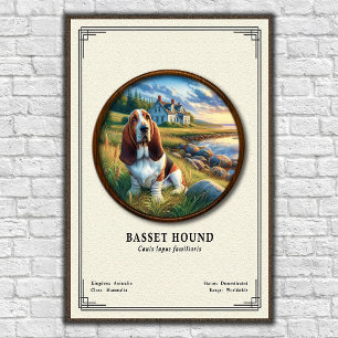 Basset Hound Zoology Series Poster