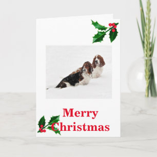 Basset Hounds in snow on Christmas card. Holiday Card