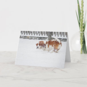 "Basset Hounds in the Wild" series greeting cards