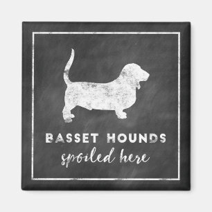 Basset Hounds Spoiled Here Vintage Chalkboard Magnet
