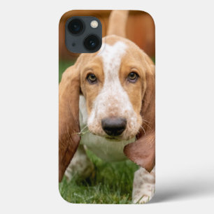 Basset Houng Puppy Walking iPhone 13 Case