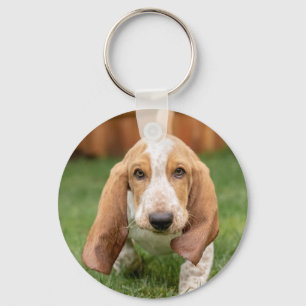 Basset Houng Puppy Walking Key Ring