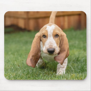 Basset Houng Puppy Walking Mouse Mat