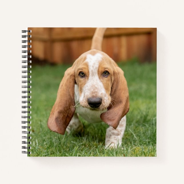 Basset Houng Puppy Walking Notebook (Front)