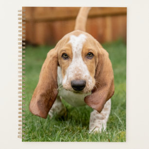 Basset Houng Puppy Walking Planner