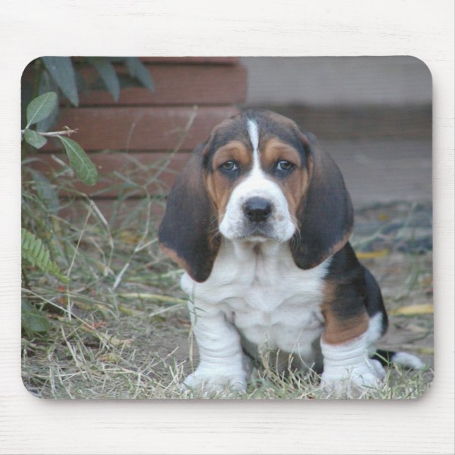 Basset Puppy Mouse Pad (Front)