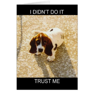 Bassett Hound Cards