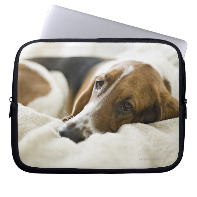 Bassett Hound Laptop Sleeve (Front)