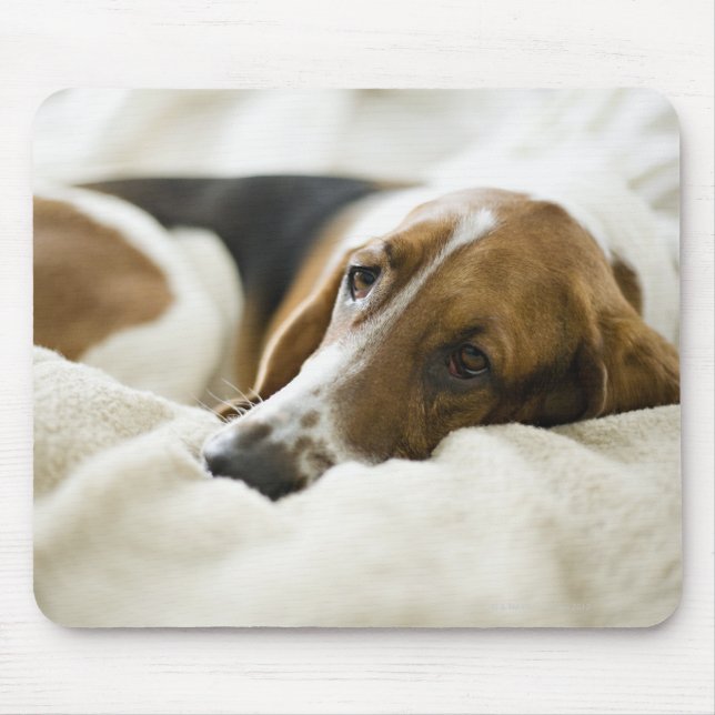 Bassett Hound Mouse Mat (Front)